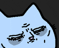 Cat What GIF by sillynub