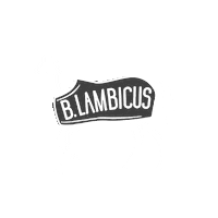 Yeast Fermentation Sticker by Whitelabs