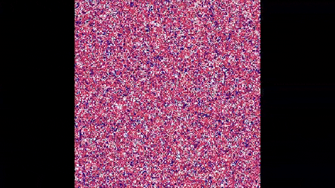 matheustenorio91706495aa5b48c68a3e0618f818c83e giphygifmaker GIF