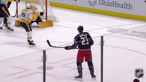 Happy National Hockey League GIF by NHL