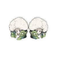 Coliflor Sticker by Semillasabechile