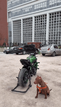 Mt Mt07 GIF