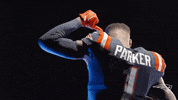 Devante Parker Sport GIF by New England Patriots