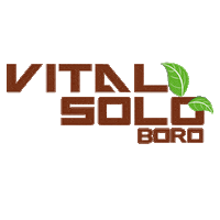 Boro Sticker by IASA