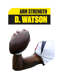 Gridqbbuild Sticker by Bleacher Report