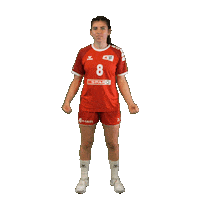 Schweiz Sticker by Swiss Handball