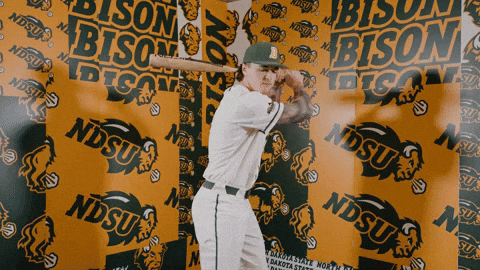 Baseball Bison GIF by NDSU Athletics