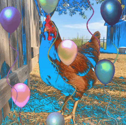 ganeshpraveen giphyattribution giphycreatortest GIF