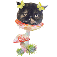 cat love Sticker