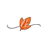 Sticker by Lekazis