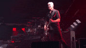 Pat Smear Guitar GIF by Foo Fighters
