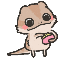 HealingBuddies money shopping buy bearded dragon Sticker