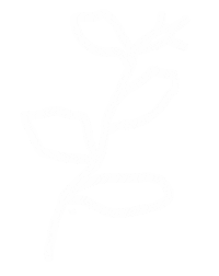 Flower Plant Sticker