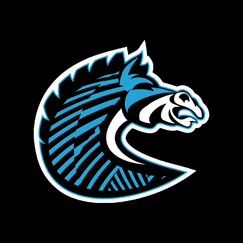 Rocket League Logo GIF by BS+COMPETITION