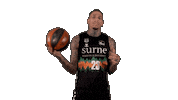 Liga Endesa Basketball Sticker by ACB