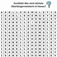 kafkaesk1234 cdu hanau hemsley cdu hanau GIF