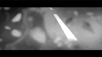 Knocked Loose Metal GIF by Pure Noise Records