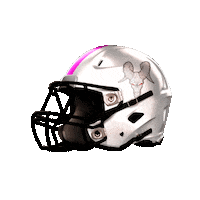 Football Nfl Sticker by IMPERIALSREUS