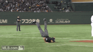 GIF by MLB