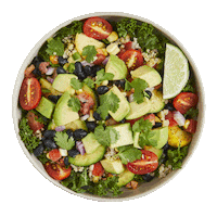 bowl avocado Sticker by BGOOD Designer