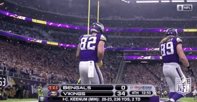 Minnesota Vikings Football GIF by NFL