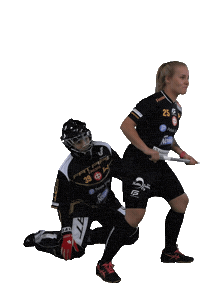 Floorball Salibandy Sticker by F-liiga