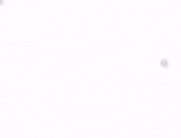 Touhou Project Art GIF