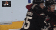 ice hockey hug GIF by NHL