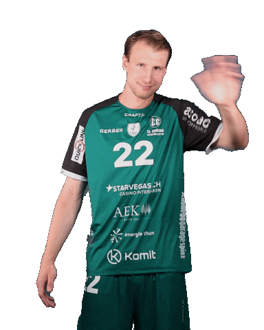 Handball Sticker by Wacker Thun