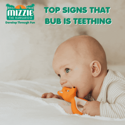 MizzieTheKangaroo giphyupload GIF