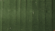 what's up hello GIF by funk