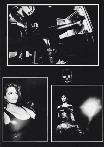 MasterUser giphyattribution GIF