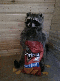 Doritos Gordo GIF