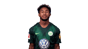 Football Soccer Sticker by VfL Wolfsburg