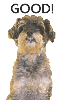 Dog 犬 Sticker by inunekonooyatsuSIZUKA