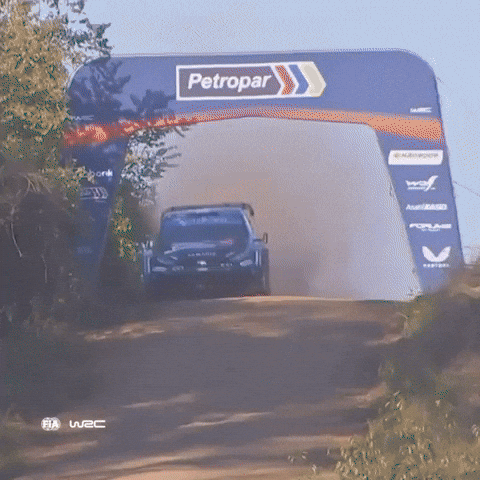 Motorsport Toyota GIF by FIA World Rally Championship