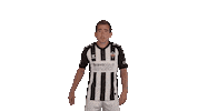 Cdcs Sticker by CD Castellon