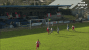 Celebration Goal GIF by Cliftonville Football Club