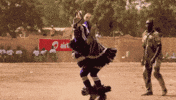 maronewhite ivory coast mama africa africa dance GIF