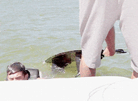 hayes grier h GIF