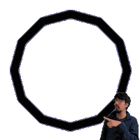 Regular Polygon Dodecagon Sticker