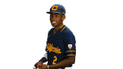 college baseball swing Sticker by Cal Athletics