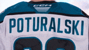 San Jose Celebration GIF