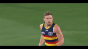 afl celebrate GIF by Adelaide Crows