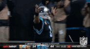 carolina panthers football GIF by NFL