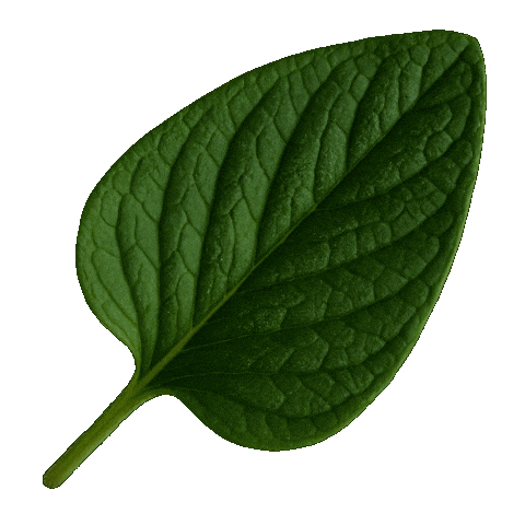 Flourishing Design Center Sticker by DTI Design Center of the Philippines