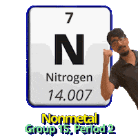N Nitrogen Sticker