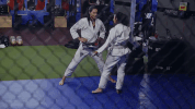 martial arts GIF by Demi Lovato