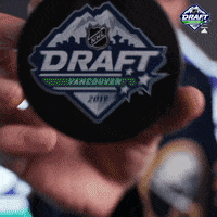 ice hockey sport GIF by NHL