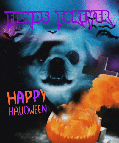 nikkijames15fbd39bead64e72867b56b4c739c2b6 giphyattribution lucky GIF